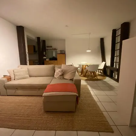 Denkmalschutz - Zentral - Haustiere - Messe 公寓 *