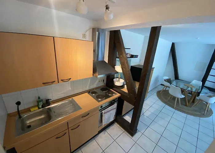 Denkmalschutz - Zentral - Haustiere - Messe Apartment *